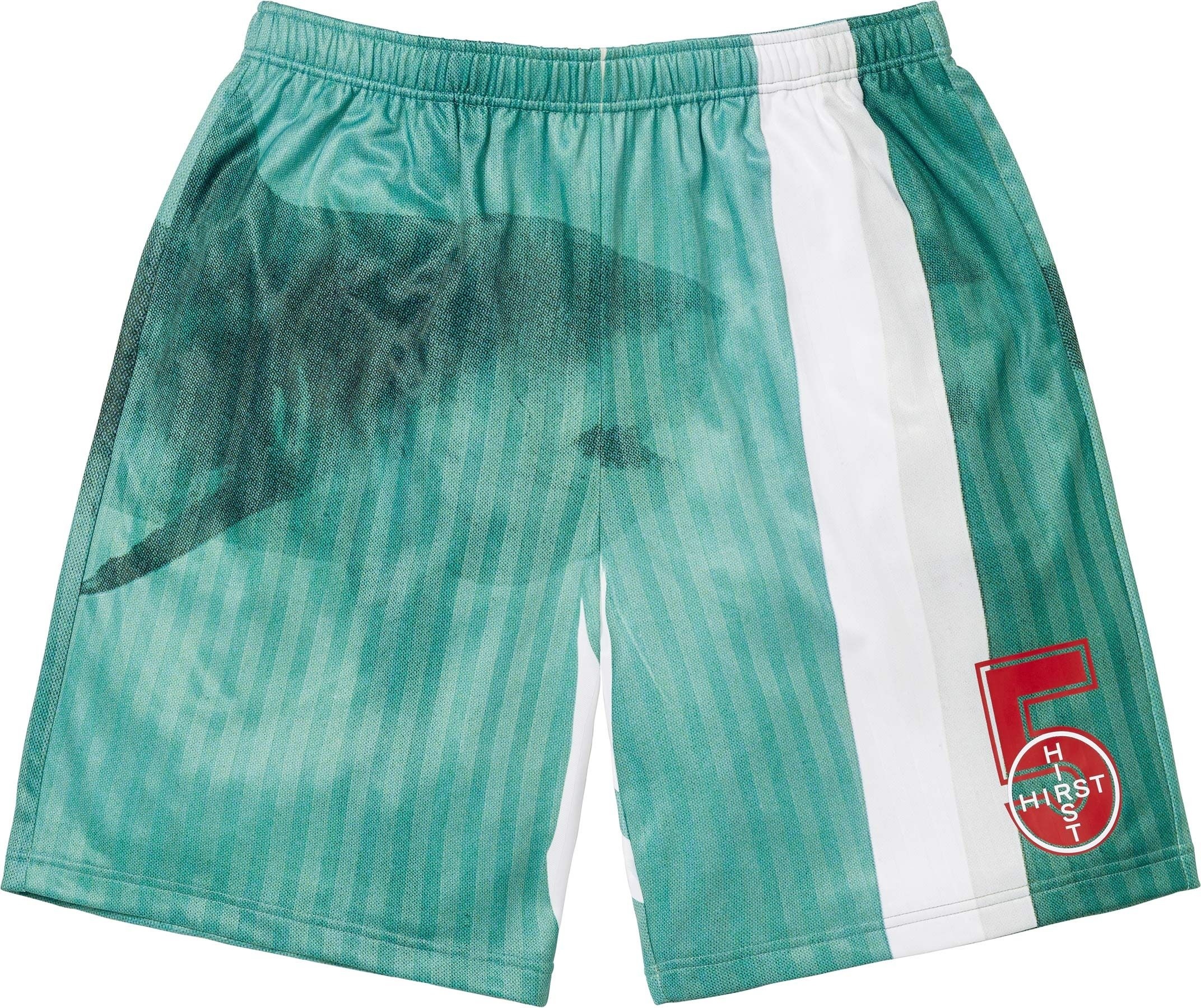 Supreme/Damien Hirst Soccer Short view 3